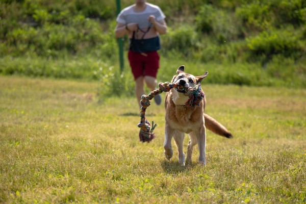 🐕